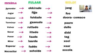 50 verbos en español pulaar y wolof [upl. by Bigod]