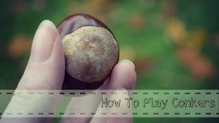 How To Play Conkers [upl. by Gussman]