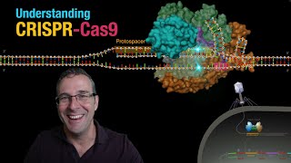 Understanding CRISPRCas9 [upl. by Reba]