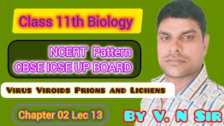 Class 11th Biology Lec 13 ll Virus Viroids Prions and Lichens [upl. by Hsivat]