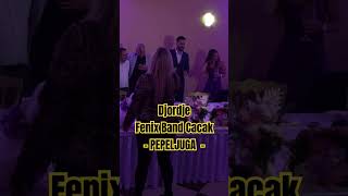 Menadzer 0653718370 Djordje amp Fenix Band Cacak Bendovi Za Svadbe Zrenjanin wwwfenixbandcacakcom [upl. by Bronez]