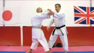 HEIAN NIDAN Bunkai Strategies 2012 wk23 pinan kata koryu oyo jutsu [upl. by Anivlek]