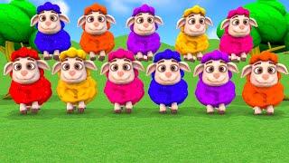 Baa Baa Black Sheep Song  Color Sheep Songs  Learn Colors For Kids  Nursery Rhymes amp Kids Songs [upl. by Inamik90]