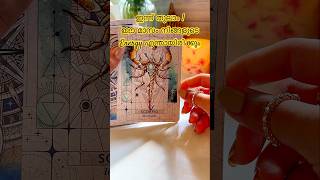 What to prepare this month tarot malayalamtarot tarotreading soulreading monthlyhoroscope soul [upl. by Elfrida]