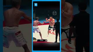 SUMO vs Kickboxer mma [upl. by Adniralc]