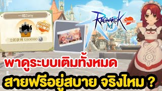 ROMC สายฟรีอยู่สบายจริงไหม  ไม่มีกาชา ไม่มีแคชชอป  Ragnarok M Classic [upl. by Tallie239]