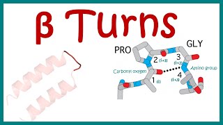 Bonds in Protein Structure  Biomolecules  Biochemistry biologyexams4u [upl. by Bodnar898]