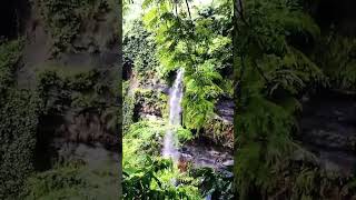 Network ar bahera shorts song waterfall music trending travel lovesong youtubeshorts yt [upl. by Primrosa334]