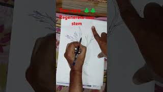 tree stem new generate stemvideo sorts viralvideo art drawing painting funny trending [upl. by Llekcir186]