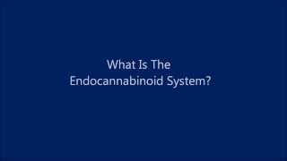 What Is The Endocannabinoid System [upl. by Ybba]