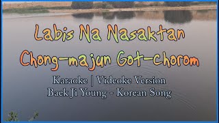 Labis Na Nasaktan Karaoke  Korean Version  Chongmajun Gotchorom Karaoke  Baek Ji Young  HD [upl. by Midas]