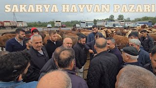 Sakarya hayvan pazarı 13102024 çok büyük bir pazar [upl. by Merlin]