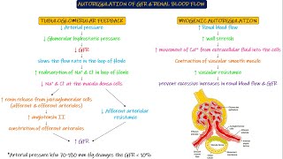 Autoregulation of GFR amp Renal Blood Flow Chapter 27 part 6 Guyton and Hall Physiology [upl. by Rachael]