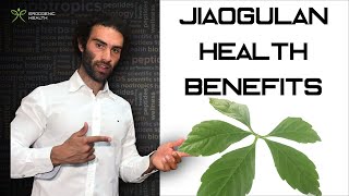 Jiaogulan The Worlds Most Researched Herb Benefits Adaptogen Dopamine Nootropic Stress [upl. by Ebehp869]