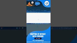 Mapping Default Data Streams Made Simple [upl. by Hsiwhem]