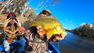 Giant Yellowbelly amp Crayfish From The Goulburn River [upl. by Eelyr]