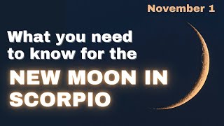 7 Things to Focus on for the New Moon in Scorpio and the Beaver Moon [upl. by Nahsor626]