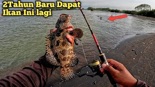 Gk Nyangka Mancing di Spot Lama Ikanya Babon2 Semua [upl. by Ydna]