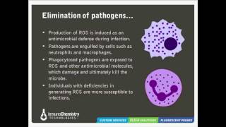 Solutions to Detect Oxidative Stress [upl. by Aihsemot]