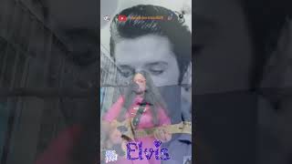 CANT HELP FALLING IN LOVE by ELVIS [upl. by Agueda]