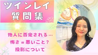 【ツインレイ質問集】人に否定される時・怖くてもいい？・投影について [upl. by Haerb]