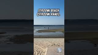 Top 4 Beaches in Tallinn 🏖️🇪🇪 tallinn beaches estonia europe travel shorts viralvideo live [upl. by Foulk631]