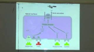 Unidad 4 METABOLISMO DE AMINOACIDOS Y PROTEÍNAS  parte 1 [upl. by Hoehne710]