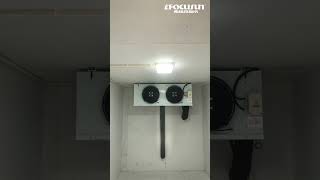 Focusun Chambre froide conteneurisée 20FT  40HQ [upl. by Beattie757]