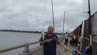 NYCFishing at the Cross bay North channel bridge 8312024 [upl. by Mordecai]