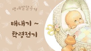 태내기학령전기  인생의 시작 어쩌면 가장 중요한 순간  인간발달의 생애주기 [upl. by Suillenroc961]