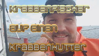 Ich bin Krabbenfischer auf einen Krabbenkutter auf der Nordsee für ein paar Tage [upl. by Aenil871]