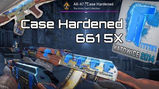 CS2 AK47 Case Hardened 661 5X Titan Holo Comparison [upl. by Norek791]