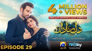 DileNadan Episode 29  Eng Sub  Mikaal Zulfiqar  Amar Khan  Ali Abbas  19th November 2024 [upl. by Scurlock]