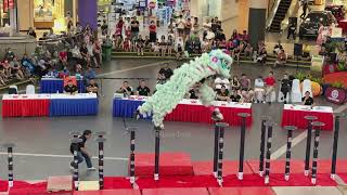 4K Shui Lian Gong 水莲宫 at MalaysiaChina Lion Dance Championship IOI Mall 20 Oct 2024 [upl. by Jarlathus]