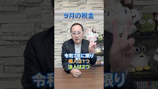 【9月の税金】令和6年2024年版 何があるか、ここで整理しましょう！ 所得税 予定納税 決算 [upl. by Benito]