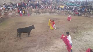 Corrida de toro en CP Pantachi SurYauliHVCA20092023 [upl. by Neztnaj]