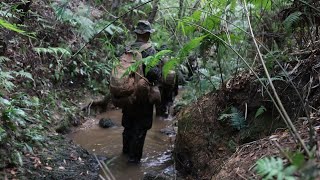 Marines Conduct Jungle Patrol  CERTEX 243 [upl. by Biddick773]