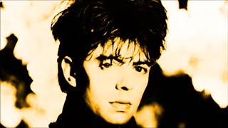 Echo amp The Bunnymen  Nocturnal Me Peel Session [upl. by Nichols]