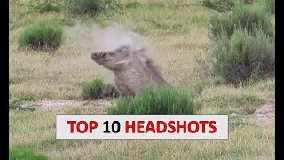 10 Hog Hunting Headshots [upl. by Phillipe]