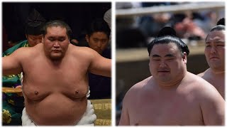 Terunofuji quotI cant see my next goalquot  quotCurrent wrestlers are best everquot [upl. by Alesandrini413]