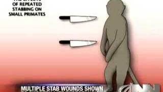 Multiple Stab Wounds May Be Harmful To Monkeys [upl. by Anivel]