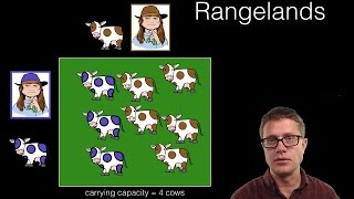 Forestry and Rangelands [upl. by Payton626]