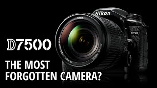 NIKON D7500 Review  The most forgotten camera [upl. by Mya169]