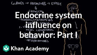 Endocrine system and influence on behavior  Part 1  Behavior  MCAT  Khan Academy [upl. by Animahs]