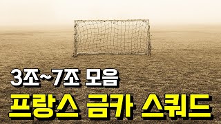 프랑스 All 금카 스쿼드 3조7조 모음 [upl. by Elleinnad698]