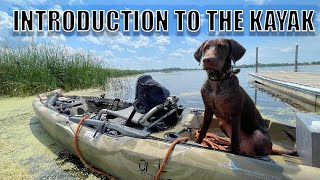 INTRODUCTION TO THE KAYAK [upl. by Shornick450]