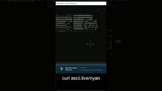 Cmd commande tricks ASCII live nyan hacks cmd animation command windows prompt hack [upl. by Maxim]