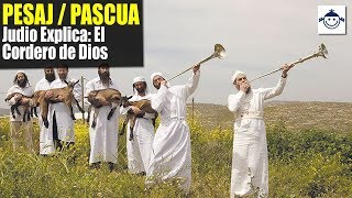 🔴 Judio Explica El Cordero de Dios  Pesaj  Pascua  Raíces Hebreas ¿Qué dice la Biblia [upl. by Raasch]