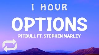 1 HOUR  Pitbull  Options Lyrics ft Stephen Marley [upl. by Maxantia277]