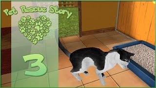 Pet Rescue Story  Kitty Comfort  Episode 3 [upl. by Amsa]